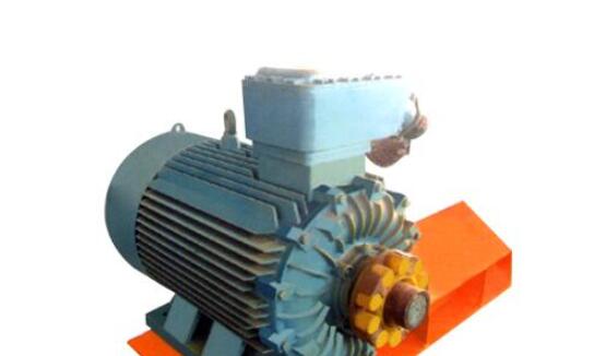 防爆電機(jī)